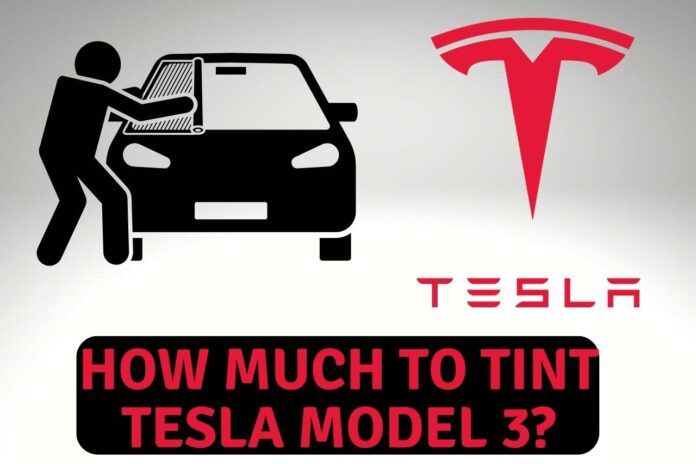 how much to tint tesla model 3