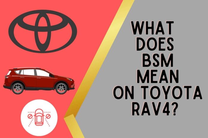what does bsm mean on toyota rav4